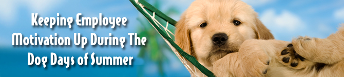 dogdays_banner