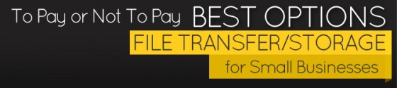 File-storage-options-Banner To Pay or Not To Pay. Best Options for Small Business File Transfer/Storage