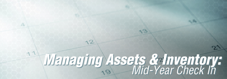 Asset & Inventory Mid-Year Check-In mid-year-check-in-banner